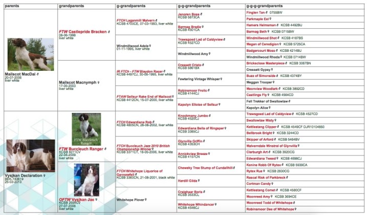 Screen Shot 2023-03-13 at 18.22.33